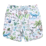 Minihaha boys dinosaur boardshorts